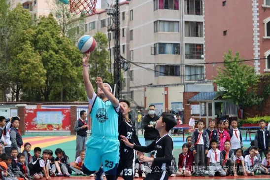 为什么反思在篮球训练中如此重要_0