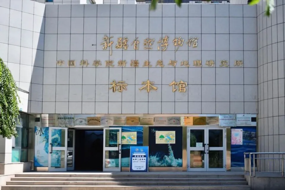 大学生篮球社团如何引入智能情感技术_1